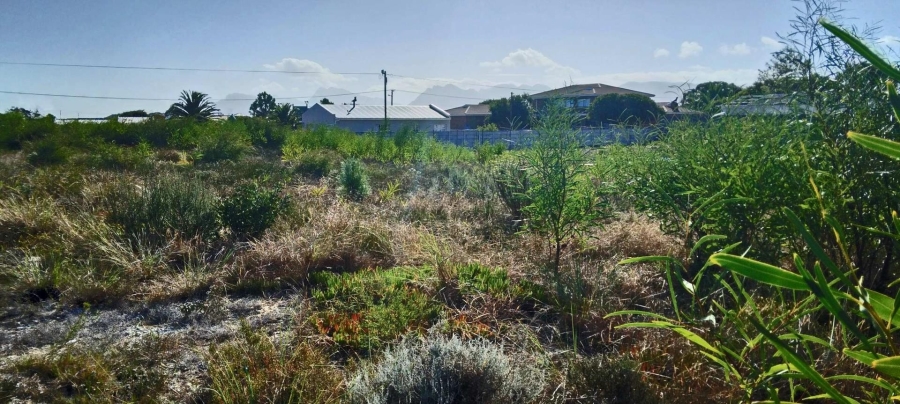 0 Bedroom Property for Sale in Fisherhaven Western Cape